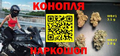 СК Балашиха