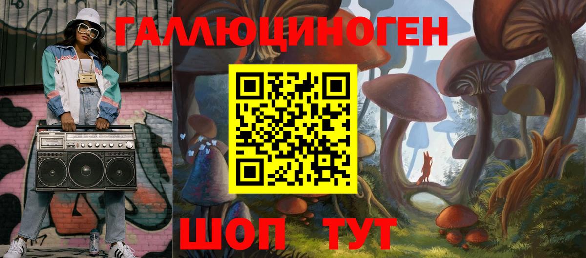 Псилоцибиновые грибы Psilocybine cubensis Домодедово